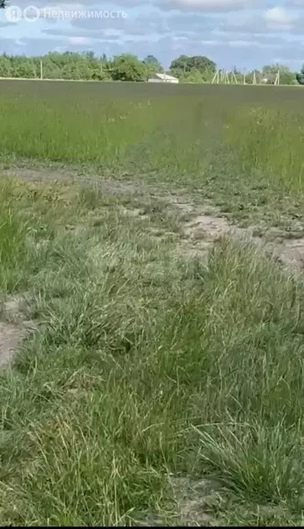 Участок в Калининградская область, Зеленоградский муниципальный округ, ... - Фото 1