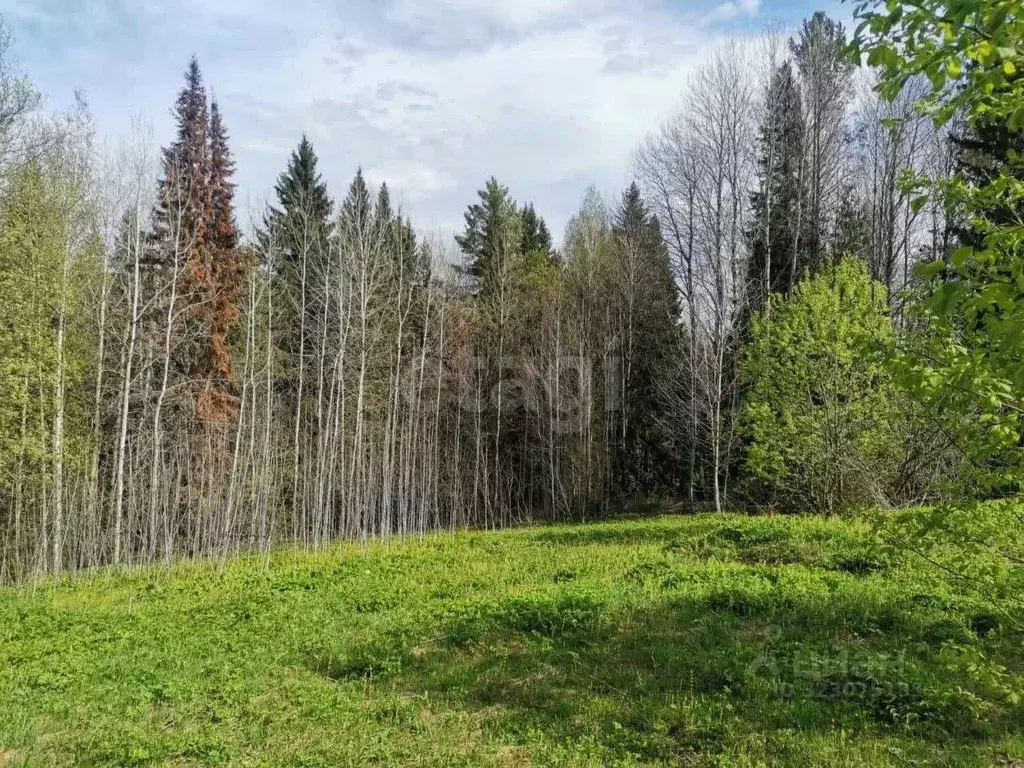 Участок в Пермский край, Чусовской муниципальный округ, д. Успенка  ... - Фото 1