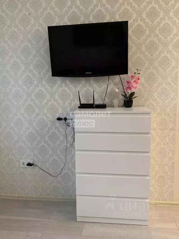 Студия Санкт-Петербург пос. Шушары, просп. Новгородский, 4 (25.0 м) - Фото 2