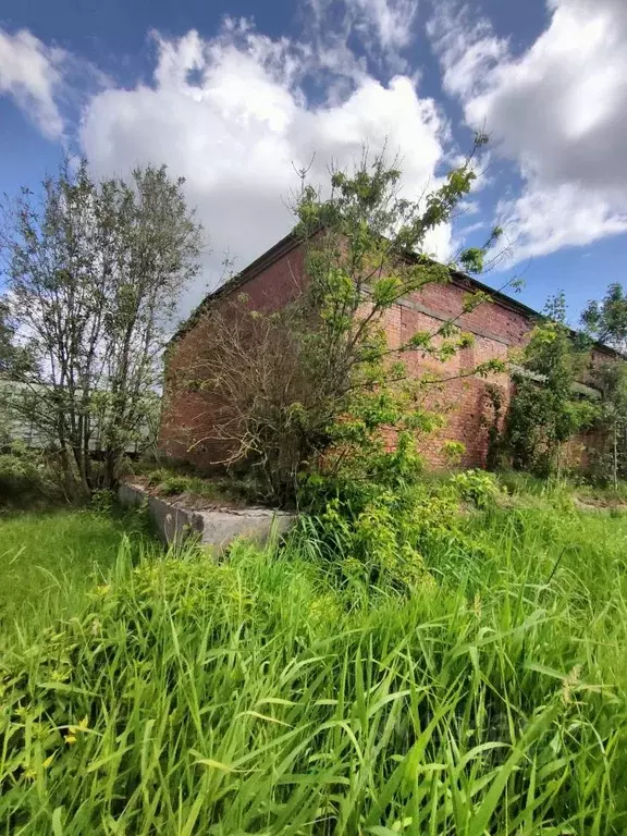 Склад в Новгородская область, Великий Новгород 243-й кв-л,  (1550 м) - Фото 1