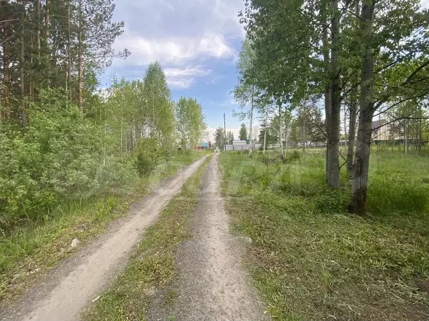 Участок 10 сот. (СНТ, ДНП) - Фото 1