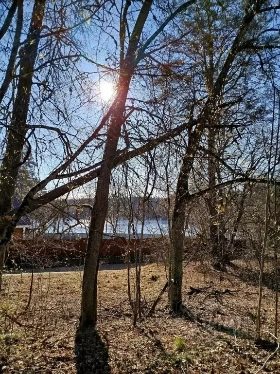 Участок в Ленинградская область, Лужское городское поселение, пос. ... - Фото 1