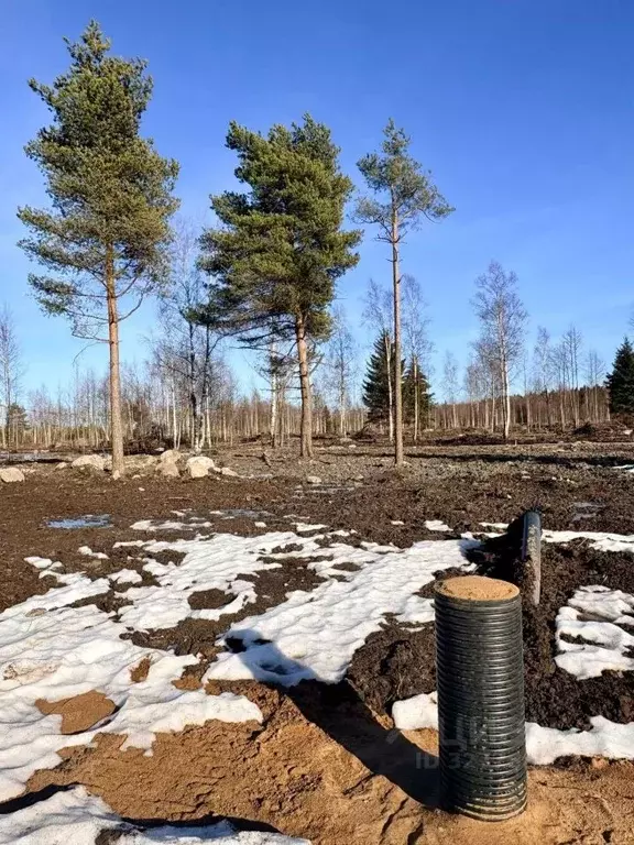 Участок в Ленинградская область, Шлиссельбург Кировский район, ул. ... - Фото 1