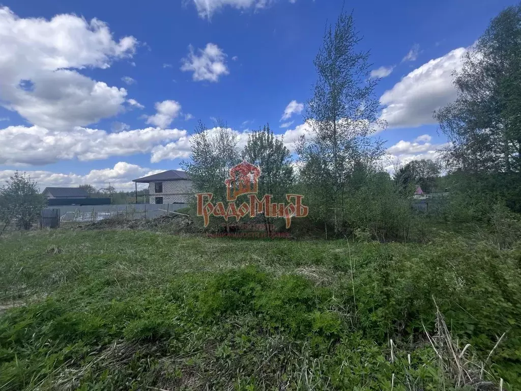 Участок в Московская область, Пушкинский городской округ, д. ... - Фото 2