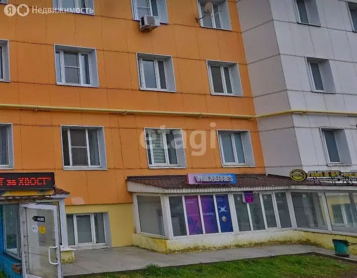 Помещение свободного назначения (17.6 м) - Фото 2