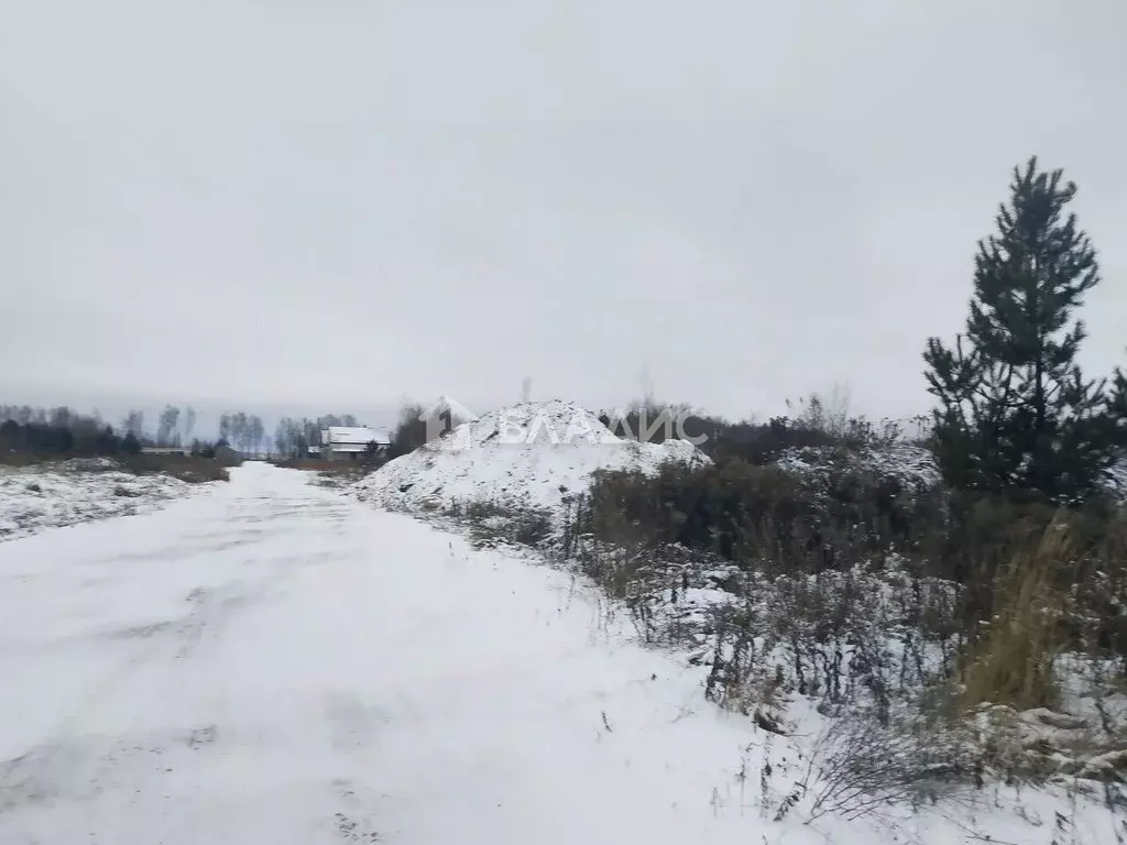 Участок в Нижегородская область, с. Безводное  (10.0 сот.) - Фото 1