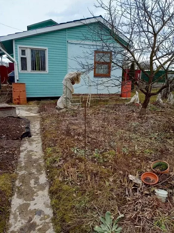 Дача 25 м на участке 5 сот. - Фото 1