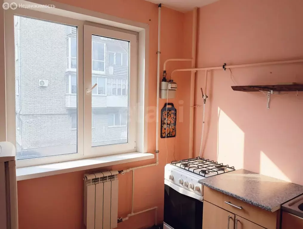 1-комнатная квартира: Псков, Октябрьский проспект, 31Б (30.5 м) - Фото 2