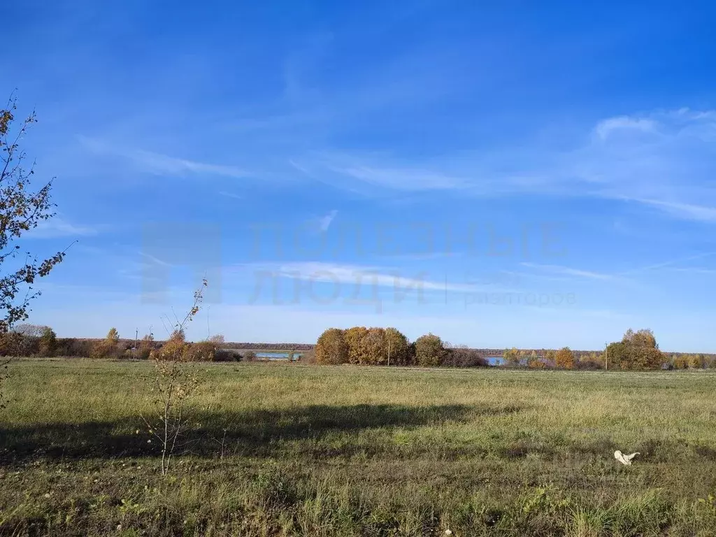 Участок в Новгородская область, Новгородский район, Бронницкое с/пос, ... - Фото 0