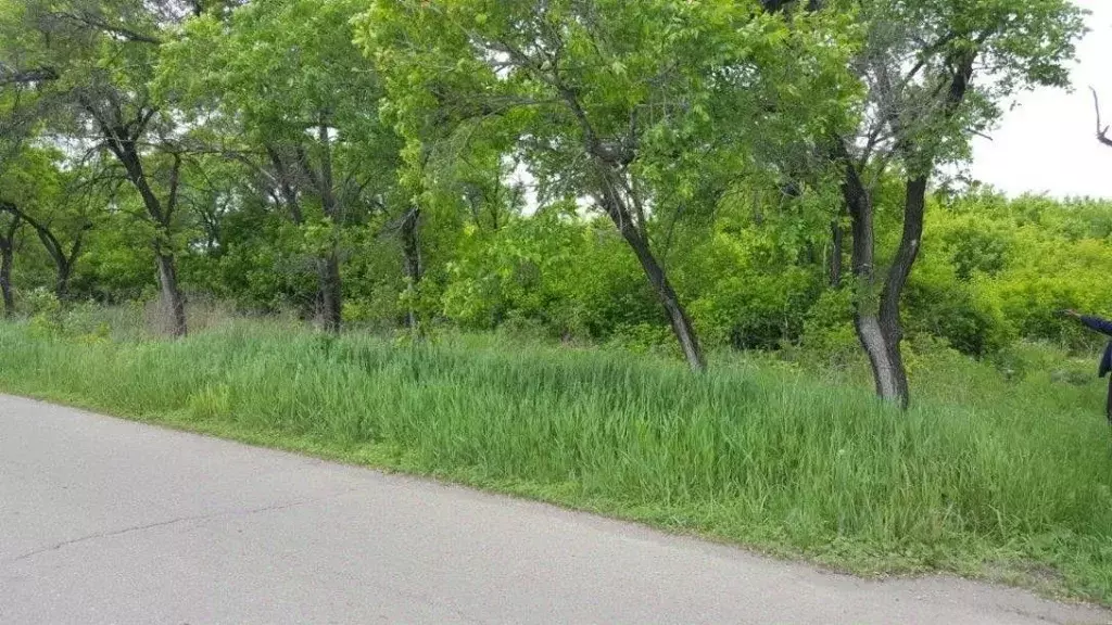 Участок в Приморский край, Лесозаводск Водная ул. (24.0 сот.) - Фото 2