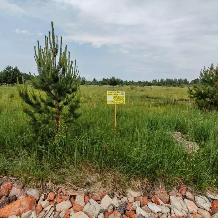 Участок в Московская область, Богородский городской округ, Следово кп ... - Фото 0