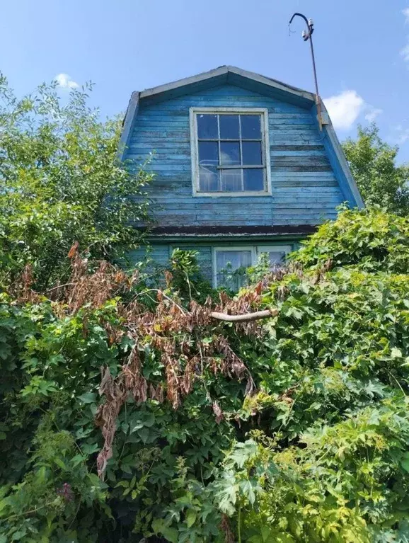 Участок в Нижегородская область, Богородский муниципальный округ, ... - Фото 1