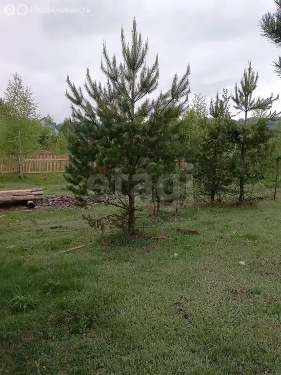 Участок в село Турочак, Восточная улица (10.5 м) - Фото 1