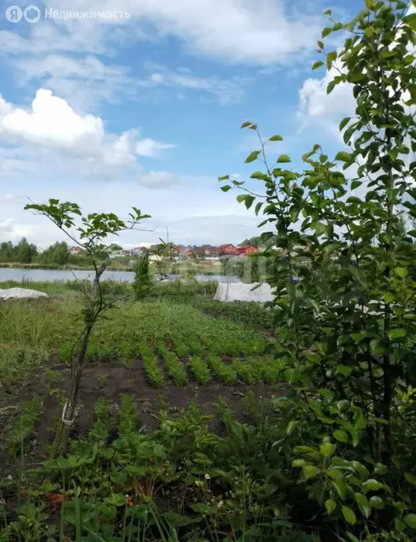 Участок в посёлок Озёрный, СНТ Озёрное (6.09 м) - Фото 1