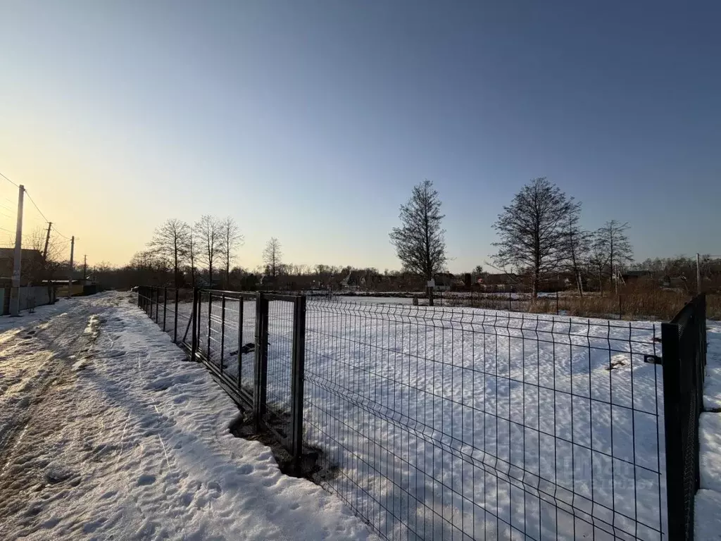 Участок в Калининградская область, Светлогорск Радуга СНТ, 7-я линия ... - Фото 2