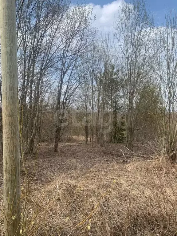 Участок в Ленинградская область, Всеволожский район, Лесколовское ... - Фото 0