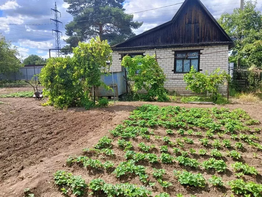 Участок в Волгоградская область, Краснослободск Среднеахтубинский ... - Фото 1