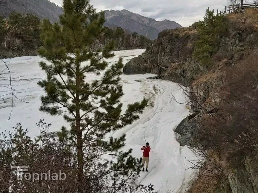 Участок в Алтай, Чемальский район, с. Чемал Катунская ул., 42 (17.7 ... - Фото 1