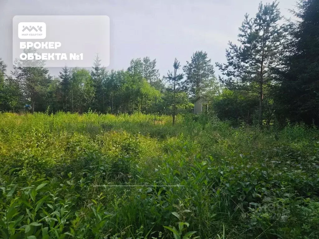 Участок в Ленинградская область, Выборгский район, Красносельское ... - Фото 1