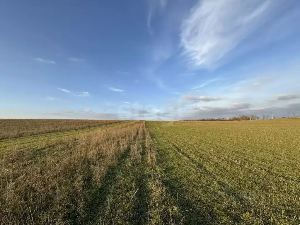 Участок в Крым, Симферопольский район, с. Трудовое  (128.0 сот.) - Фото 1