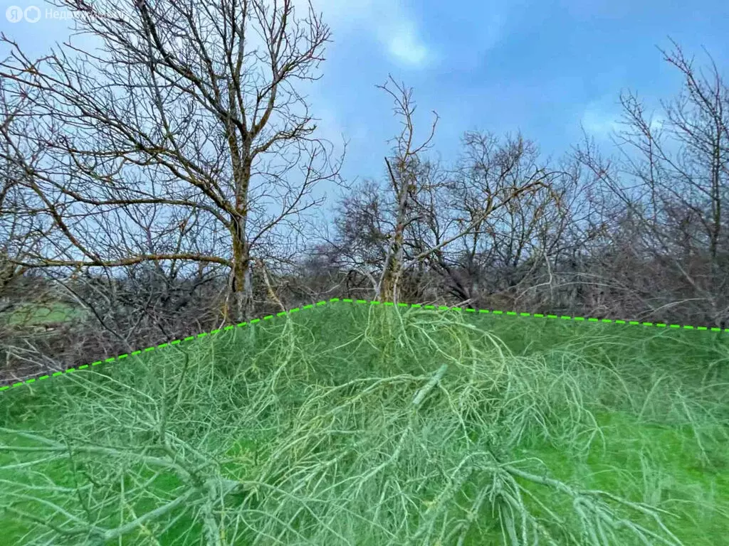 Участок в Республика Крым, Саки (4.42 м) - Фото 2