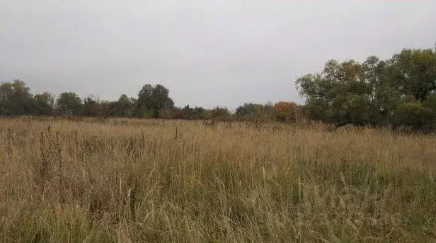 Участок в Московская область, Коломна  (28.28 сот.) - Фото 1