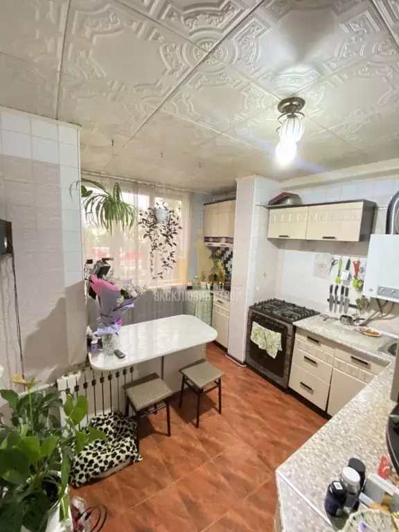 2-к кв. Ставропольский край, Ессентуки Октябрьская ул., 431 (45.0 м) - Фото 1