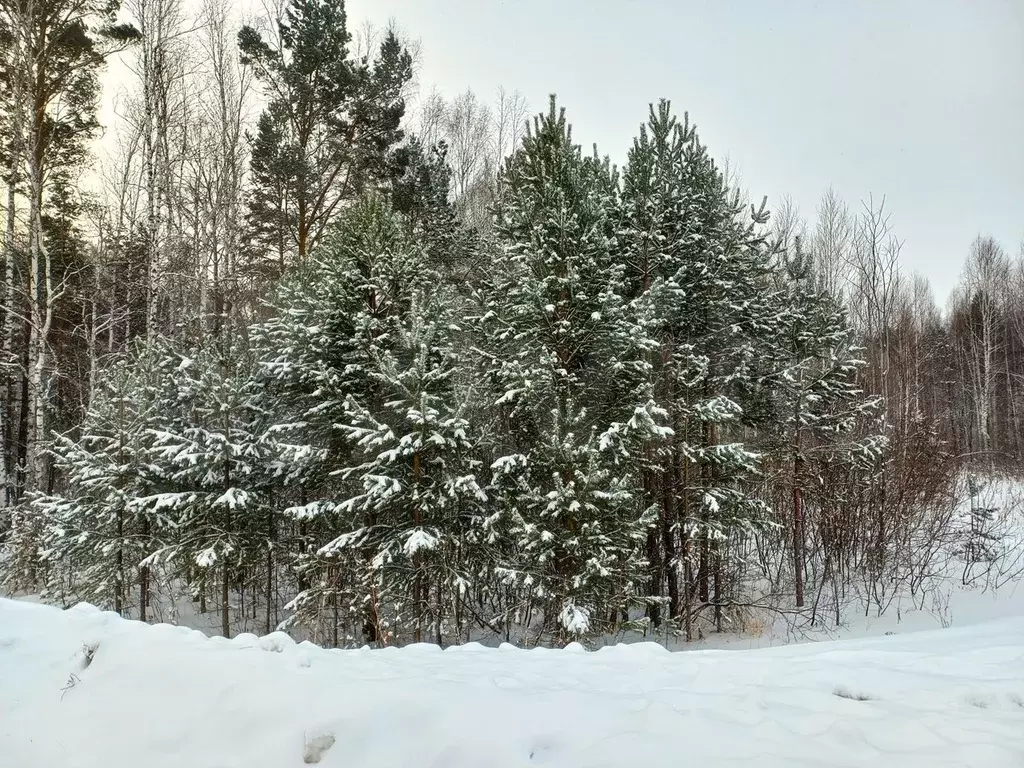 Участок 6 сот. (СНТ, ДНП) - Фото 1