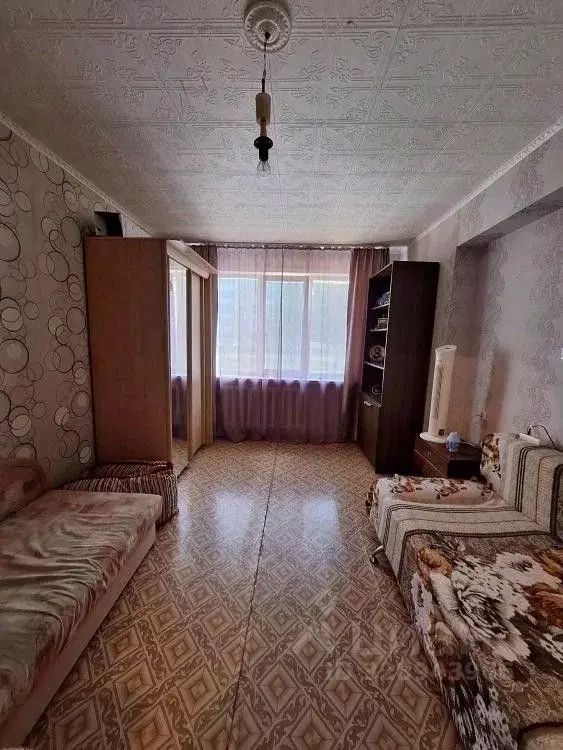 1-к кв. Забайкальский край, Краснокаменск 8-й мкр, 803 (31.0 м) - Фото 2