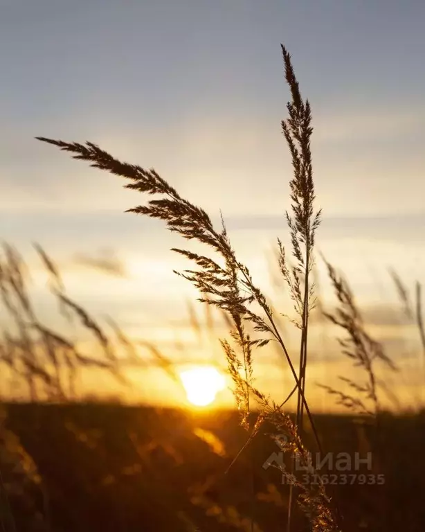 Участок в Тверская область, Конаковский муниципальный округ, Волжские ... - Фото 1