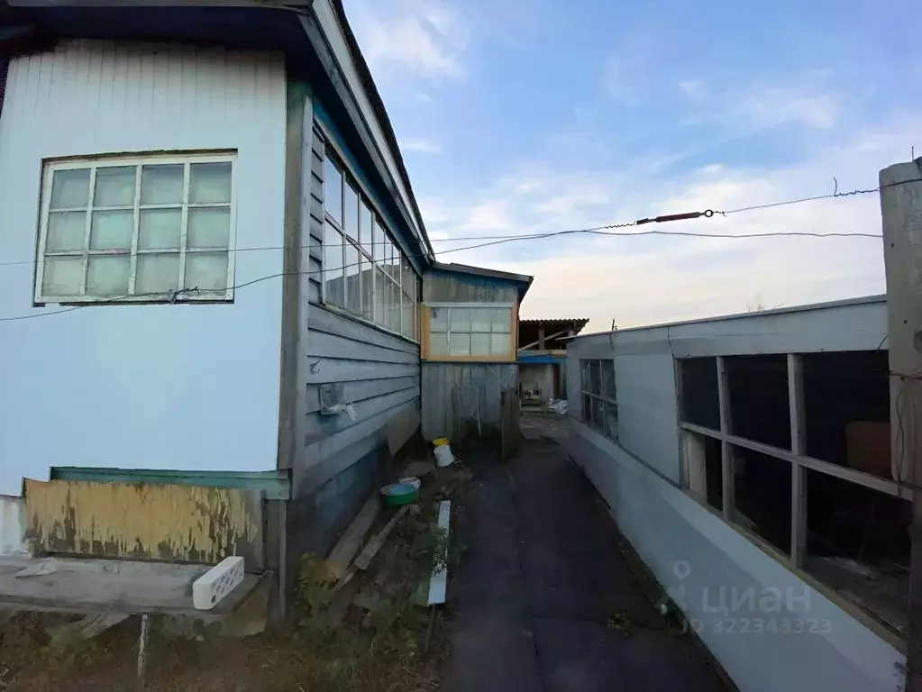 Дом в Курганская область, Курган ул. Бородина (68 м) - Фото 2