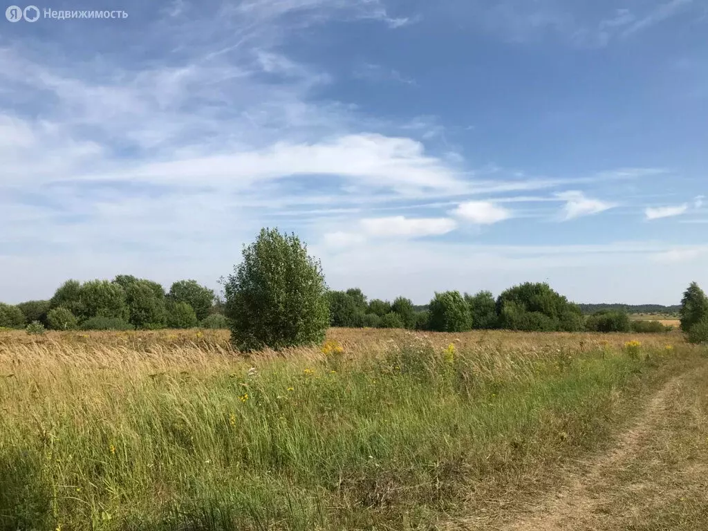 Участок в Заокский район, сельское поселение Демидовское (2000 м) - Фото 0