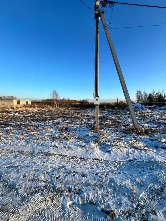 Участок в Владимирская область, Суздальский район, Селецкое ... - Фото 1