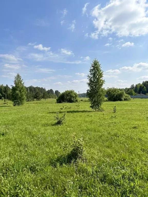 Участок в Кировская область, Слободской район, Шиховское с/пос ул. ... - Фото 1