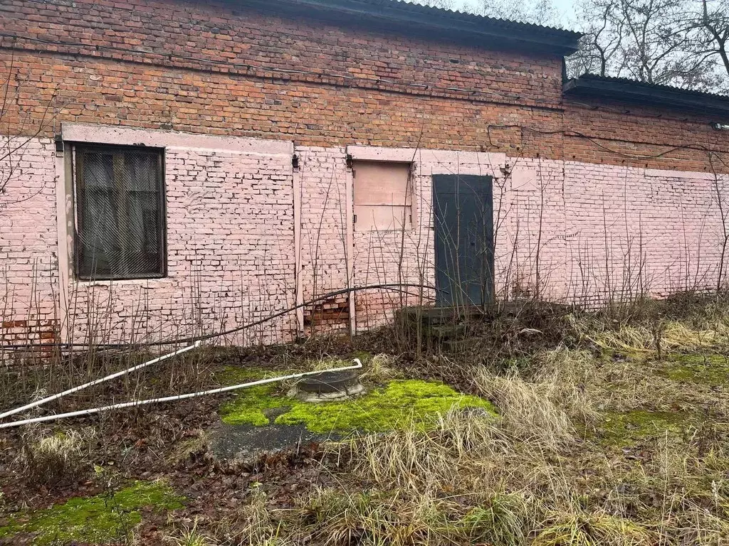 Помещение свободного назначения в Московская область, Можайск ул. 20 ... - Фото 1