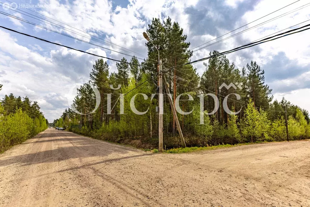 Участок в Сертоловское городское поселение, садоводческое ... - Фото 1