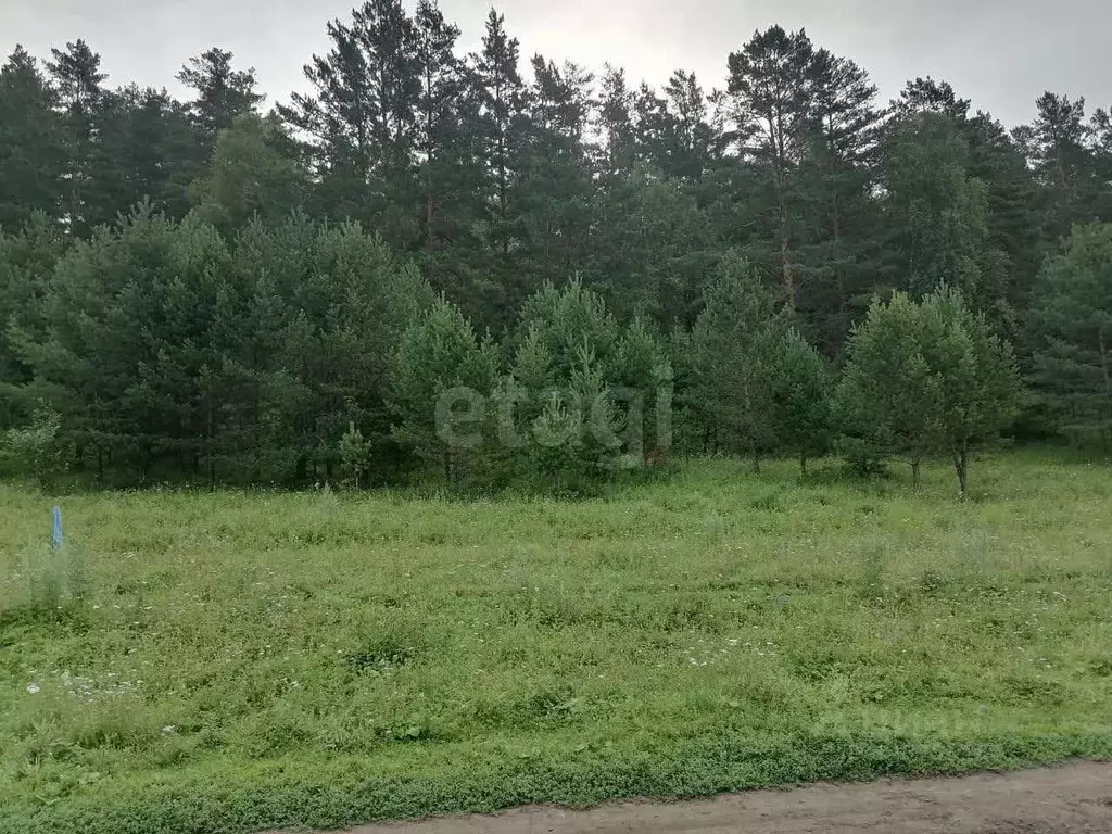Участок в Алтай, Чемальский район, Узнезинское с/пос, с. Узнезя  (26.8 ... - Фото 2