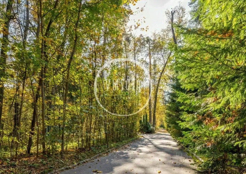 Участок в Московская область, Одинцовский городской округ, пос. дома ... - Фото 1
