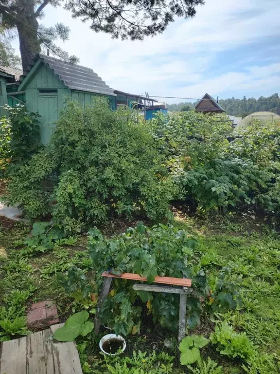 Дом в Иркутская область, Иркутский муниципальный округ, Бирюсинка-2 ... - Фото 1