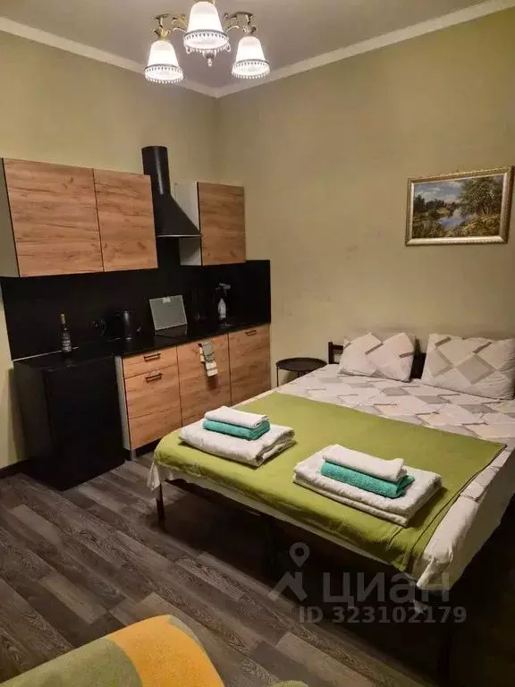 Студия Санкт-Петербург 8-я Васильевского острова линия, 59 (20.0 м) - Фото 1