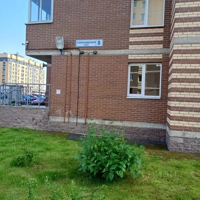 Студия Ленинградская область, Всеволожский район, Заневское городское ... - Фото 1