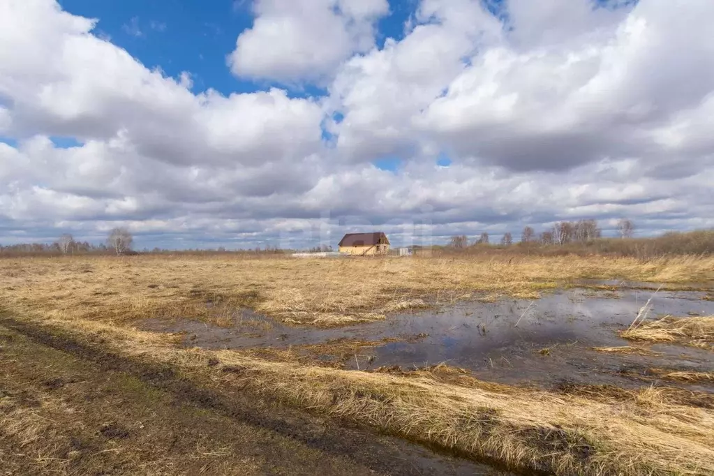Участок в Тюменская область, Тюмень  (6.67 сот.) - Фото 1