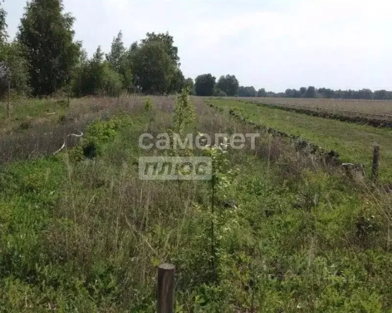 Участок в Курганская область, Курган Пригородный мкр, Юбилейная ул. ... - Фото 0