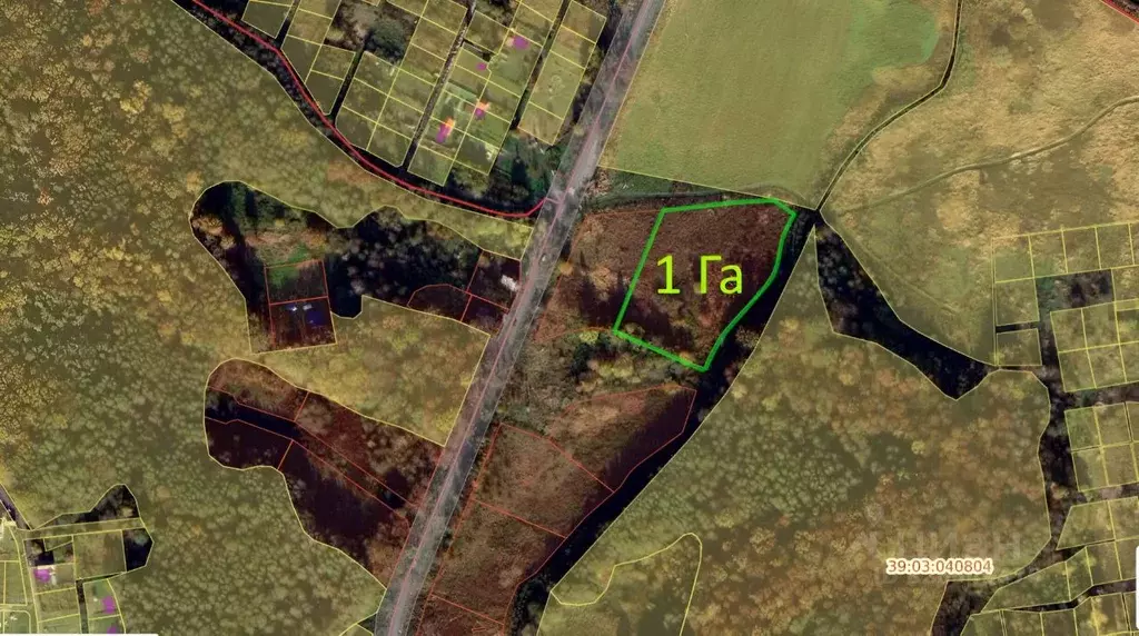 Участок в Калининградская область, Гурьевский муниципальный округ  ... - Фото 1