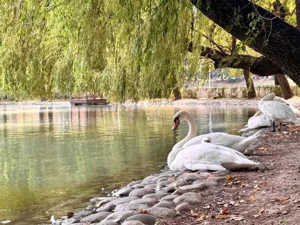 2-к кв. Северная Осетия, Владикавказ просп. Коста, 82 (67.0 м) - Фото 1