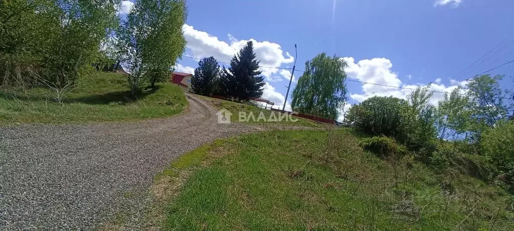 Участок в Алтайский край, Бийский район, с. Малоенисейское Советская ... - Фото 2