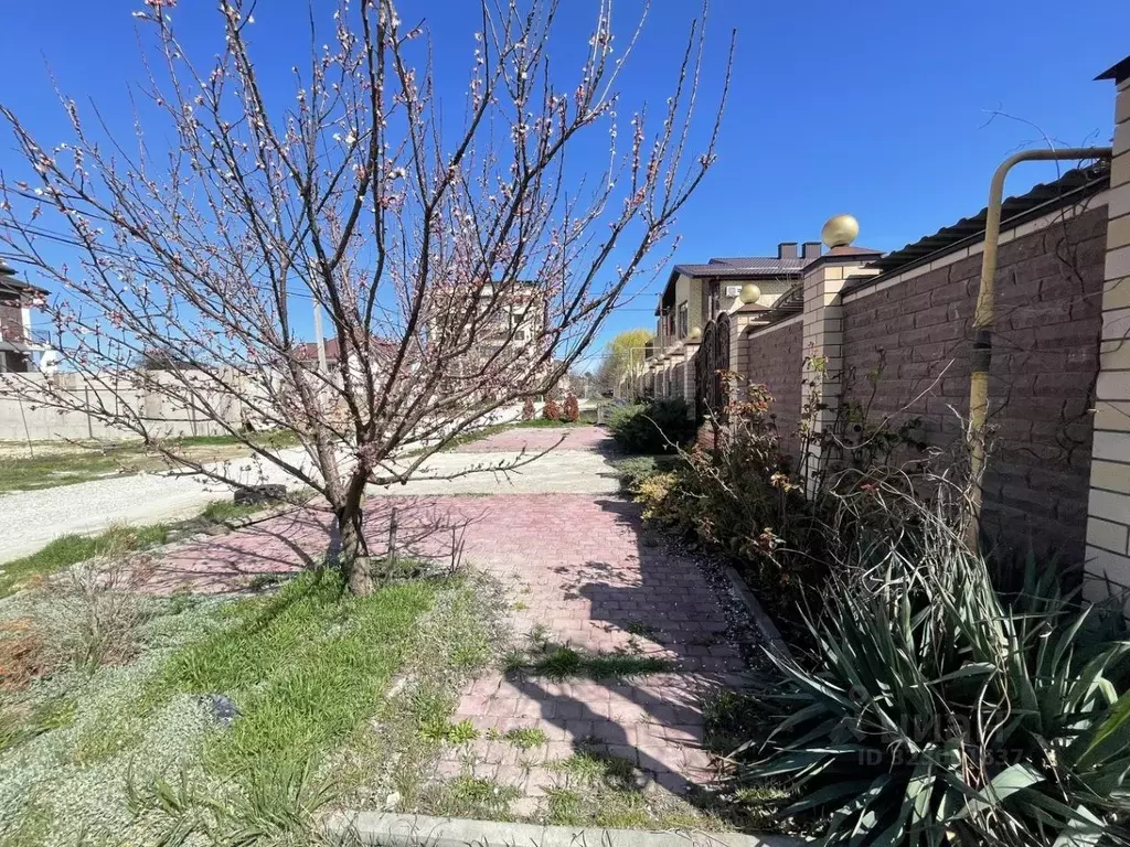 Участок в Краснодарский край, Анапа ул. Кати Соловьяновой (11.6 сот.) - Фото 1