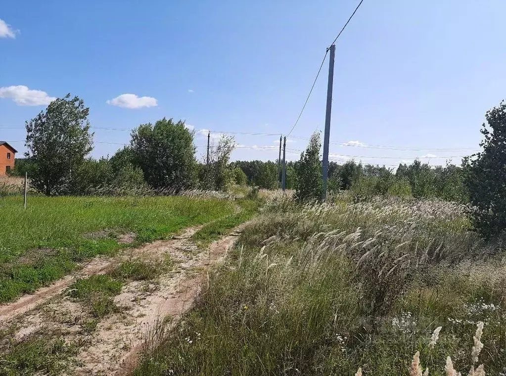 Участок в Московская область, Истра муниципальный округ, д. Загорье, ... - Фото 2
