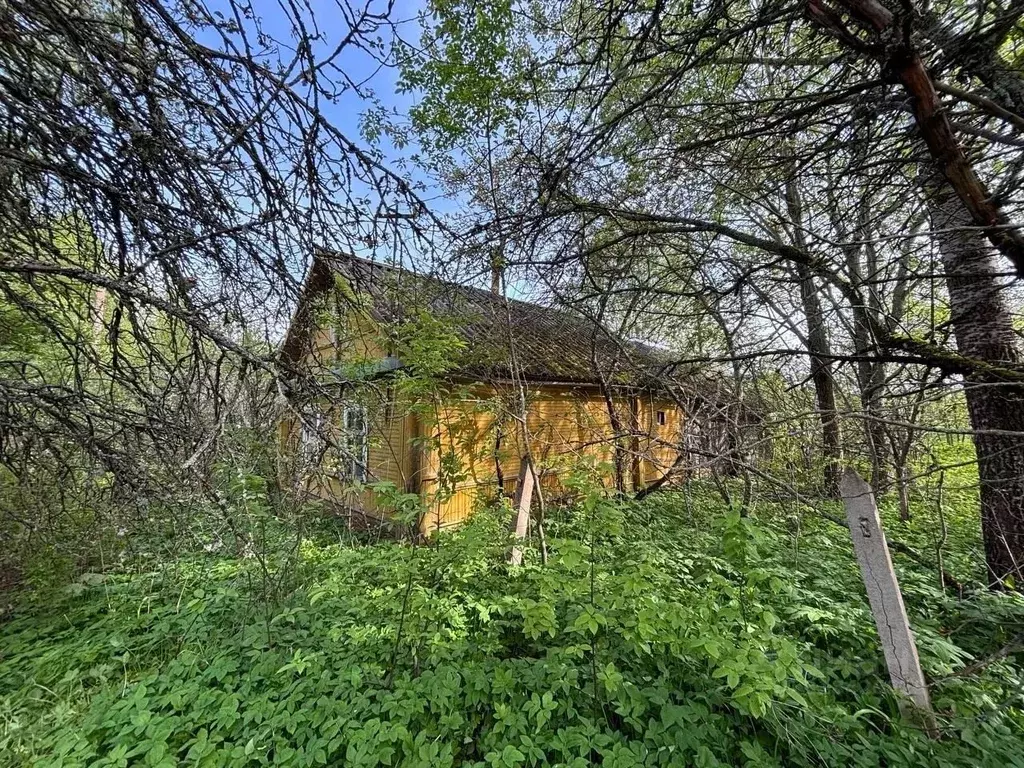 Участок в Псковская область, Гдовский район, Юшкинская волость, д. ... - Фото 0
