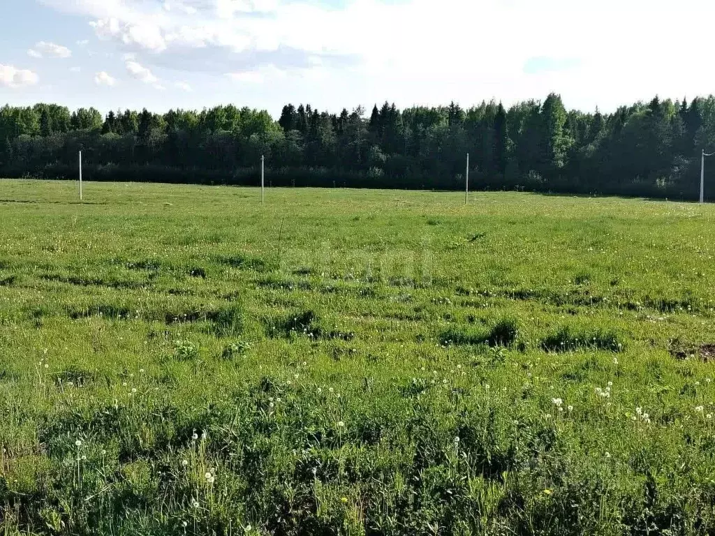 Участок в Вологодская область, д. Стризнево (Старосельский сельсовет)  ... - Фото 1